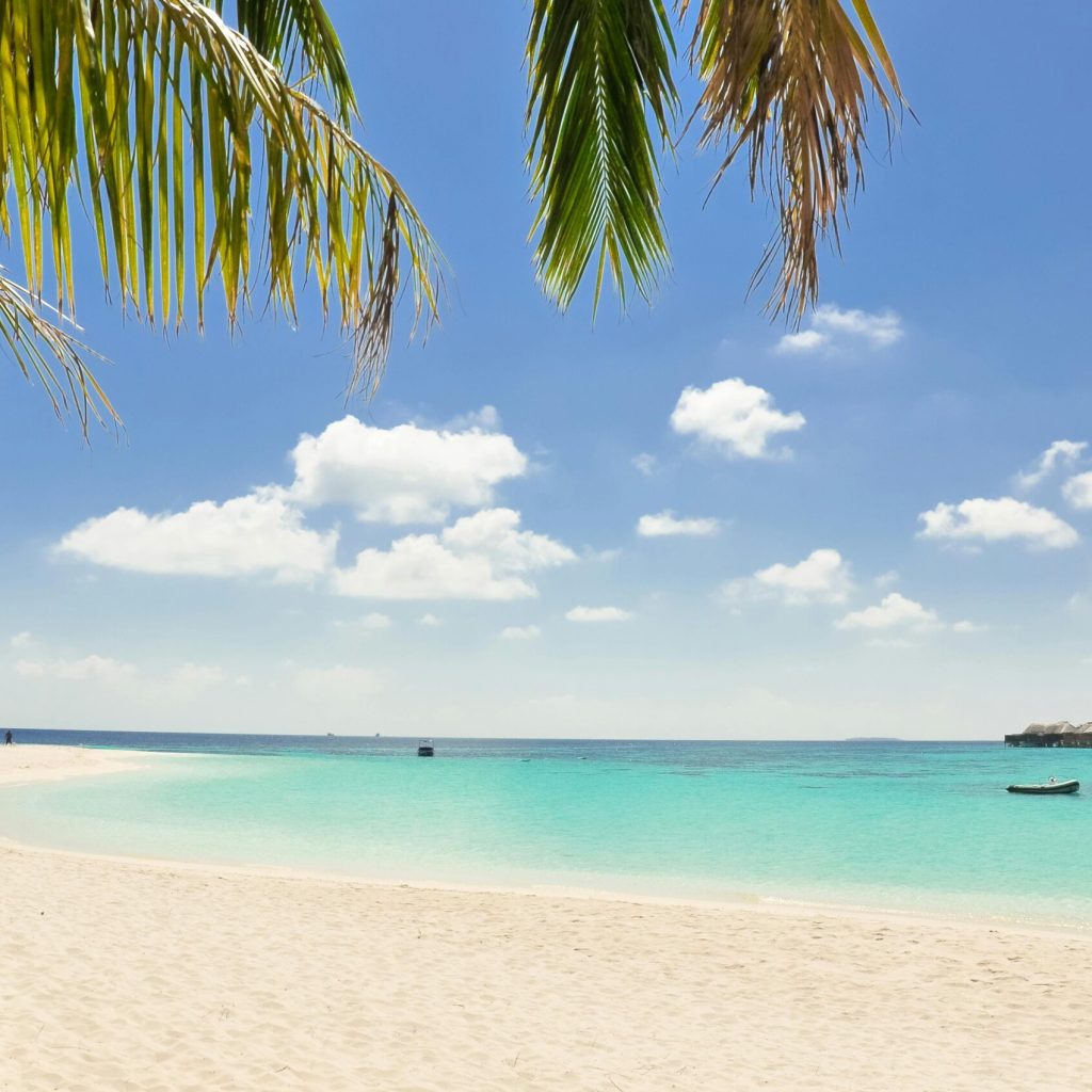 Serene beach with turquoise waters, white sand, and palm trees under a sunny sky, perfect for relaxation.